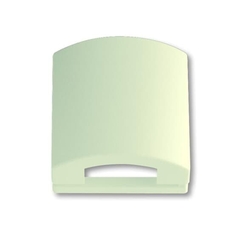 Накладка с кр.50x50AMP,solo/fut.,слоновая кость | 1710-0-3149 | 2CKA001710A3149 | ABB
