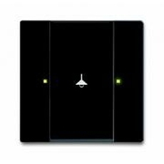 6125/98-509 Сенсор 2-клавишный, Zenit | 6125/98-509 | 2CKA006115A0444 | ABB