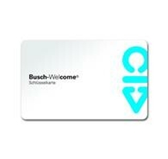 Карта доступа | 8300-0-0387 | 2CKA008300A0387 | ABB
