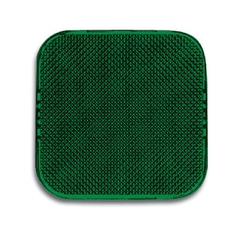 Линза зелёная для светового сигнализатора, серия Busch-Duro 2000 SI | 1512-0-0219 | 2CKA001512A0219 | ABB