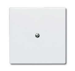 Заглушка с суппортом (IP44), серия Allwetter 44, цвет альпийский белый | 1710-0-1852 | 2CKA001710A1852 | ABB