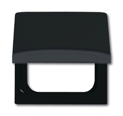 Плата промеж. с крыш. для центр. плат серий Busch-Duro 2000 SI и Reflex SI, IP44, серия Allwetter 44, цвет антр. | 1710-0-1936 | 2CKA001710A1936 | AB