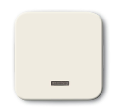 Клав. для светорег. 6550 U-10x, 6560 U-101, 6593 U, реле 6401 U-10x,6402 U, Busch-Duro 2000 SI, сл. кость | 6599-0-2815 | 2CKA006599A2815 | ABB