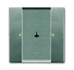 6125/02-803-500 Сенсор 1/2-кл. многофункциональный, метеор | 6115-0-0224 | 2CKA006115A0224 | ABB