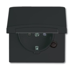 Розетка SCHUKO, 20 EUGKB-35-101, с крышкой, с защитными шторками, Allwetter44, IP44, черный/антрацит, 16А, 250В. | 2064-0-0295 | 2CKA002064A0295 | AB