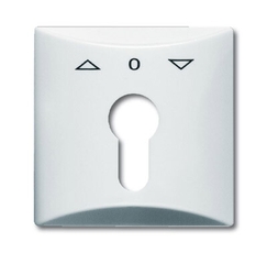 Плата центральная (накладка) с поворотной ручкой, IP44, серия Allwetter 44, цвет альпийский белый | 1710-0-1829 | 2CKA001710A1829 | ABB