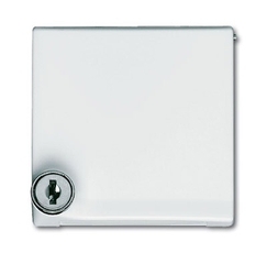 Плата промежуточная с крышкой для центр. плат , с индивидуальным зам., IP44, серия Allwette 44, цвет сл. кость | 1710-0-2298 | 2CKA001710A2298 | ABB