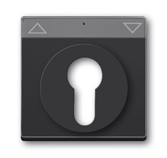 Плата центральная (накладка) для мех. выкл. жалюзи с зам., с полем дл надписи, серия solo/future, цвет антрацит | 1710-0-3626 | 2CKA001710A3626 | ABB