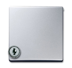 Плата промеж. с крышкой для центр. плат , с индивидуальным зам., IP44, серия Allwette 44, цвет серебр.-алюм. | 1710-0-3789 | 2CKA001710A3789 | ABB