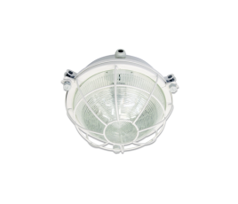 Светильник светодиодный промышленный ДПП03-9-003 850 | 1003509003 | АСТЗ