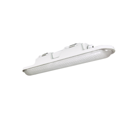 Светильник светодиодный промышленный ДСП51-20-001 Leader 840 | 1168420001 | АСТЗ