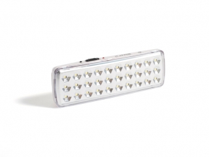 Светильник аварийного освещения Skat LT-301200-LED-Li-Ion ,30 светодиодов,1200мАч | 2452 | Бастион