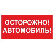 Знак безопасности BL-3015B.N09