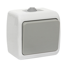 Выключатель Мурманск 1-клавишный 10А IP54 серый (EFV10-021-30-54)