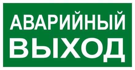 Знак ''АВАРИЙНЫЙ ВЫХОД'' 150х300мм EKF PROxima