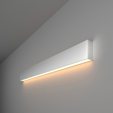 Светильник светодиодный накладной линейный односторонний78см 15W 3000K матовое серебро (101-100-30-78) | a041489 | Elektrostandard