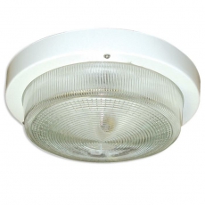 Светильник для ЖКХ под лампу НПП 03-100-002 