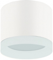 Светильник накладной подсветка OL17 GX53 WH , под GX53 (40/960) | Б0049044 | ЭРА