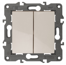 14-1104-02 Электроустановка ЭРА Выключатель двойной, 10АХ-250В, IP20, Эра Elegance, сл.кость | Б0034231 | ЭРА