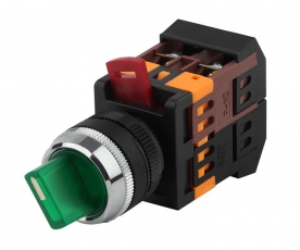 Переключатель АNС-22-2 2 полож.зел.неон/240В I-O 1з+1р (10/400/3200) | Б0045681 | ЭРА