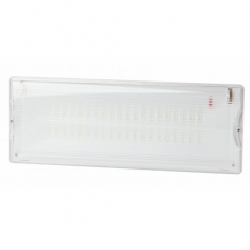 Светильник светодиодный аварийный постоянный 40LED 3ч IP65 NiCD DPA-301-1-65 | Б0051843 | ЭРА