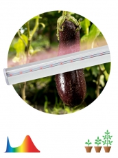 Светильник светодиодный для растений белый спектр ЭРА LLED-05-T5-FITO-18W-W | Б0028201 | ЭРА