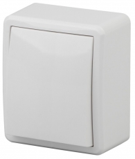 Выключатель 10АХ-250В, 11-1201-01, ОУ, Эксперт, белый (16/160/3200) |Б0020653 | ЭРА