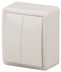 Выключатель двойной с подсветкой 11-1205-02 , 10АХ-250В, ОУ, Эксперт, сл.кость (16/160/3200) |Б0020667 | ЭРА