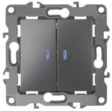 Выключатель двойной с подсветкой 12-1105-12 , 10АХ-250В, графит (10/100/2500) |Б0019291 | ЭРА