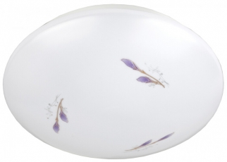 Светильник светодиодный декоративный бытовой SPB-6 