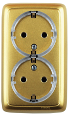 Розетка открытой установки, двухместная, с заземляющим контактом, цвет золото | РА16-181-07 | HEGEL
