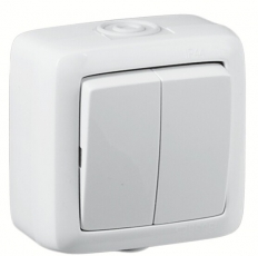 Выключатель открытой установки, двухклавишный, брызгозащищенный, цвет белый | ВА16-251 | HEGEL