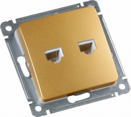 Розетка компьютерная скрытой установки, механизм, цвет золото | РСКК-440-07 | HEGEL