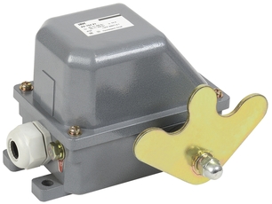 Выключатель концевой КУ-704 У1, W- образный рычаг, 10А, IP44, 2 эл. цепи,