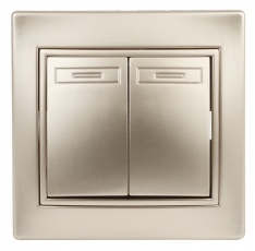 1-104-04 Intro Выключатель двойной, 10А-250В, IP20, СУ, Plano, шампань | Б0030043 | Intro