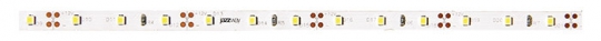 Лента светодиодная LED PLS 2835/120 12Вт 12В 6500К IP20 5м | 2859051 | Jazzway