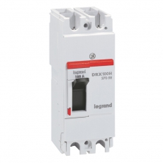 DRX125 термомагнитный 100A 2П 36KA | 027058 | Legrand