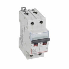 Выключатель автоматический двухполюсный DX3-E 6000 32А C 6кА | 407280 | Legrand