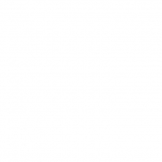 Розетка 2Р+Т нем.стд.Oteo | 086129 | Legrand