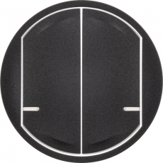 Панель лицевая Celiane для Умн. проводн./беспроводн. 2-кл. выкл. графит Netatmo | 064836 | Legrand