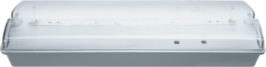 Светильник аварийного освещения светодиодный 3Вт NEF-07 (IP65) | 61496 | Navigator