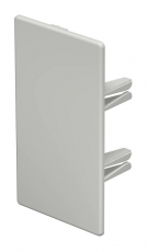 Торцевая заглушка кабельного канала WDK 60x110 мм (ПВХ,светло-серый) (WDK HE60110LGR) | 6183824 | OBO Bettermann