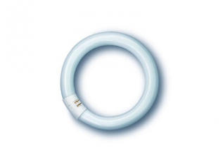 Лампа люминесцентная кольцевая ЛЛ 40Вт 2GX13 865 BASIC T8 FC 300мм | 4050300528502 | Osram