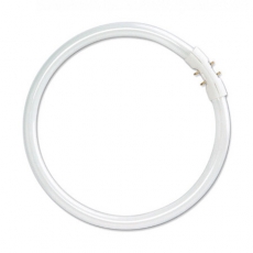 Лампа линейная люминесцентная FC 22W/840 12X1 | 4050300528465 | OSRAM