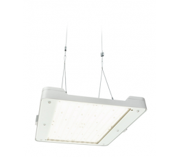 Светильник светодиодный промышленный BY481P LED250S/840 PSD NB PC SI | 910500465602 | Philips