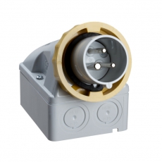 НАСТЕН ВИЛКА ВИНТ 16А 2P-E 100-130 IP67 | 83551 | Schneider Electric