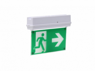 Светильник аварийного освещения светодиодный MIZAR 6500-3 LED SP | 4502003660 | Световые Технологии