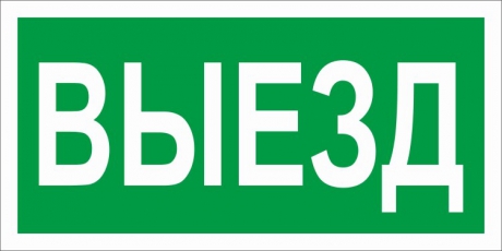 Пиктограмма (наклейка) ПЭУ 017 Выезд (130х260) | 2501002820 | Световые Технологии