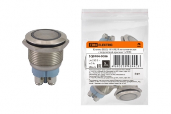 Кнопка EB2Q-1910NE/R металлическая с подсветкой красная 1з | SQ0704-0086 | TDM