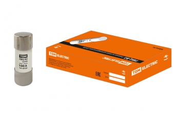 Вставка плавкая ПВЦ-В2 22х58 100А | SQ0729-0036 | TDM